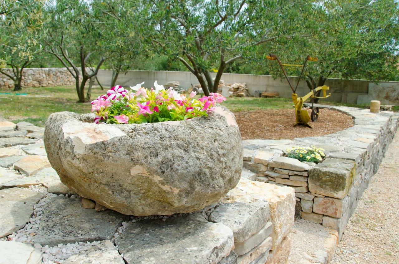 Apartment Filip Brodarica (Sibenik-Knin)
