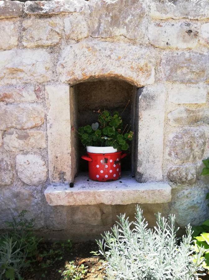 Apartment Filip Brodarica (Sibenik-Knin)